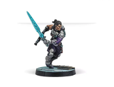 280050-1030, Dire Foes Mission Pack 13: Blindspot. Infinity Code