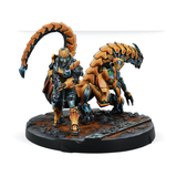 281348-1140, Imperial Service Action Pack. Yu Jing. Infinity Code