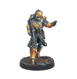 281362-1206. Imperial Service Expansion Pack Delta. Yu Jing Army. Infinity
