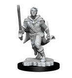 D&D Nolzur's Marvellous Miniatures - Male Human Ranger