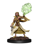 Elf Sorcerer Female - D&D Nolzur's Marvellous Miniatures. WZK90054