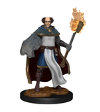 Male Multiclass Cleric & Wizard - D&D Nolzur's Marvellous Miniatures. WZK90151