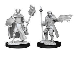 Male Multiclass Cleric & Wizard - D&D Nolzur's Marvellous Miniatures. WZK90151