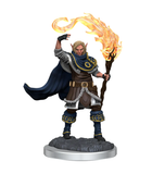 Elf Cleric Male - D&D Nolzur's Marvellous Miniatures. WZK90404