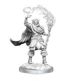 Elf Cleric Male - D&D Nolzur's Marvellous Miniatures. WZK90404