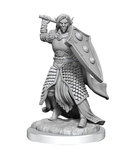 Elf Cleric Male - D&D Nolzur's Marvellous Miniatures. WZK90404