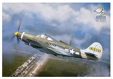 Arma Hobby AH40013. P-39 Bell Airacobra Reconnaissance. 1:48 Scale