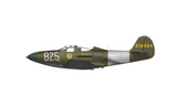 Arma Hobby AH40013. P-39 Bell Airacobra Reconnaissance. 1:48 Scale