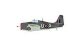 Eduard ED11175. Wilder Cat, Limited Edition. 1:48 Scale