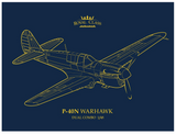 Eduard EDR0025, P-540N Warhawk. Royal Class Dual Combo Model Kit. 1:72 Scale