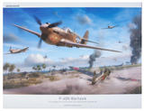 Eduard EDR0025, P-540N Warhawk. Royal Class Dual Combo Model Kit. 1:72 Scale