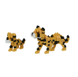 Cheetahs, NBC-307