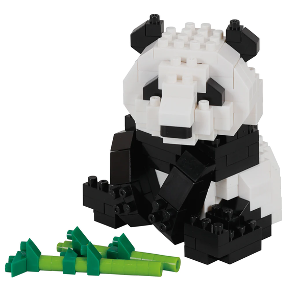 Giant Panda, NBC-328