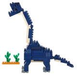 Brachiosaurus, NBC-363
