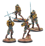 WW02003-0013 Warcrow - Aggressors, Hegemony
