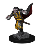 D&D Nolzur's Marvellous Miniatures - Vampires WZK72565