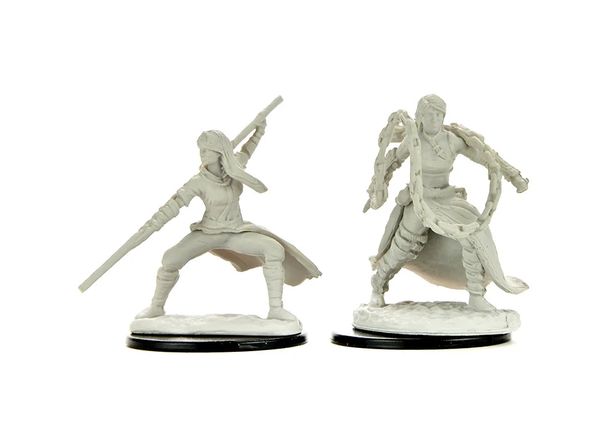 Human Monk Female- D&D Nolzur