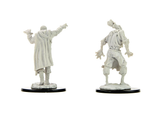 Scarecrow & Stone Cursed - D&D Nolzur's Marvellous Miniatures, WZK90241