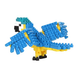 Blue & Yellow Macaw, NBC-343