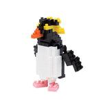 Rockhopper Penguin, NBC-135